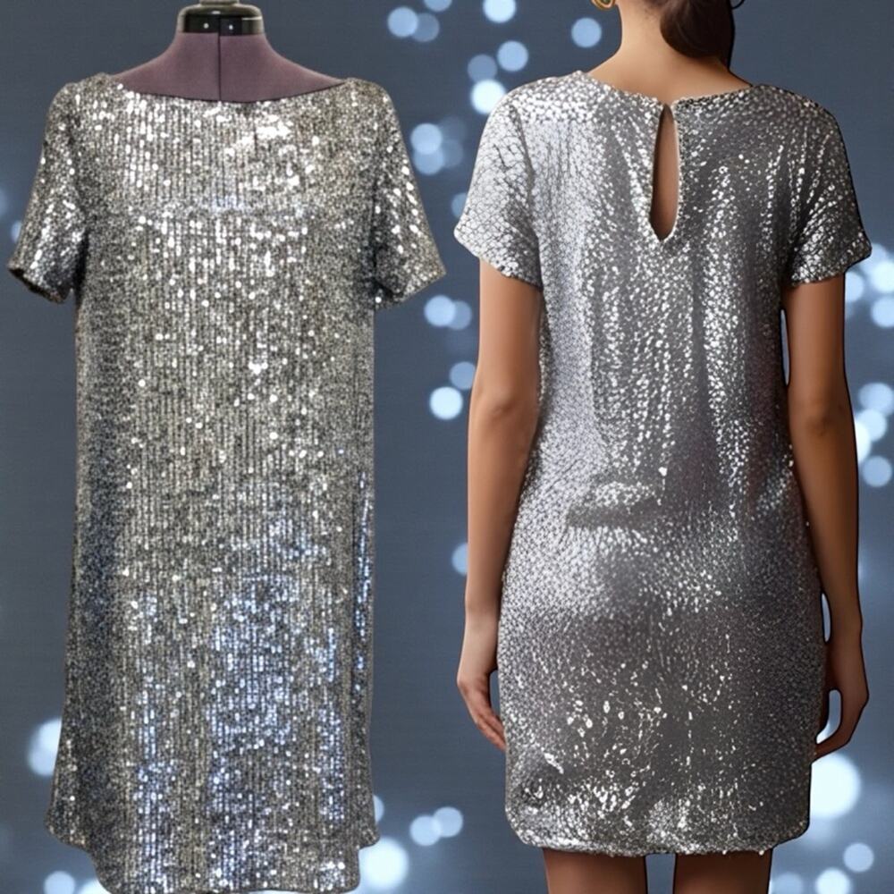 NWT Ann Taylor Shimmering silver sequin Shift dress so flattering Size XXS